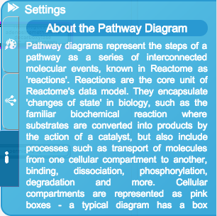 Help - Homo_sapiens - Ensembl Genome Browser 113